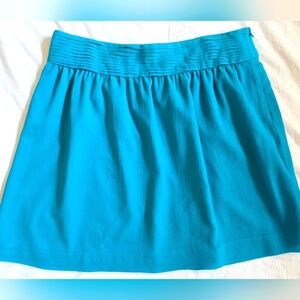 LOFT Ann Taylor Teal Pleated Women's Skirt With Inside Lining Size 4